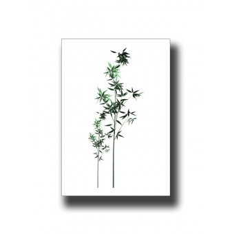 Botanical Bamboo 1 Print