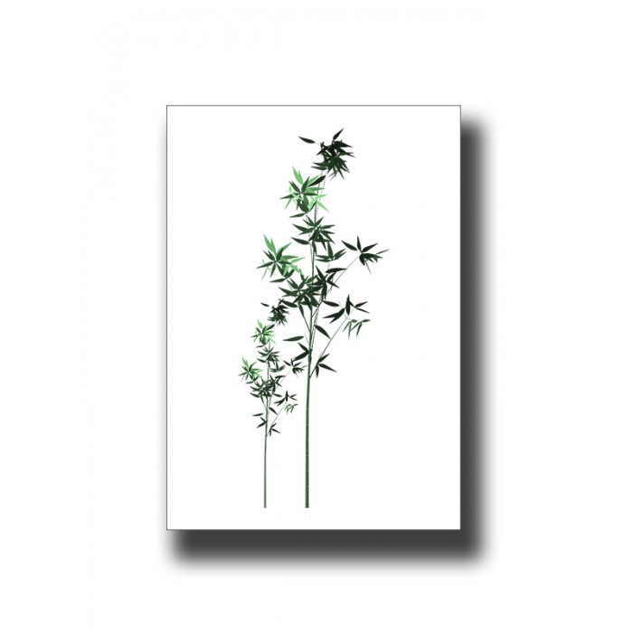 Botanical Bamboo 1 Print