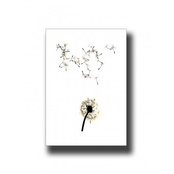 Botanical Dandelion 1 Print