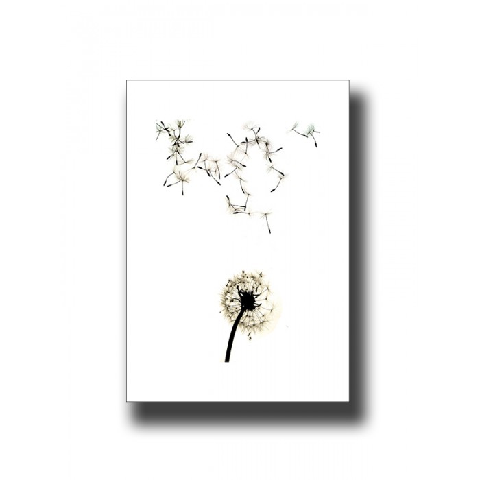 Botanical Dandelion 1 Print