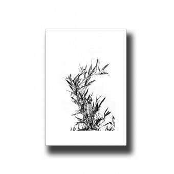 Botanical Grass 1 Print