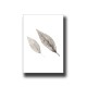 Botanical Leaves 2 Print