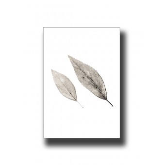 Botanical Leaves 2 Print