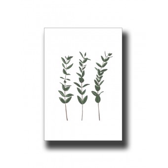 Botanical Leaves 3 Print