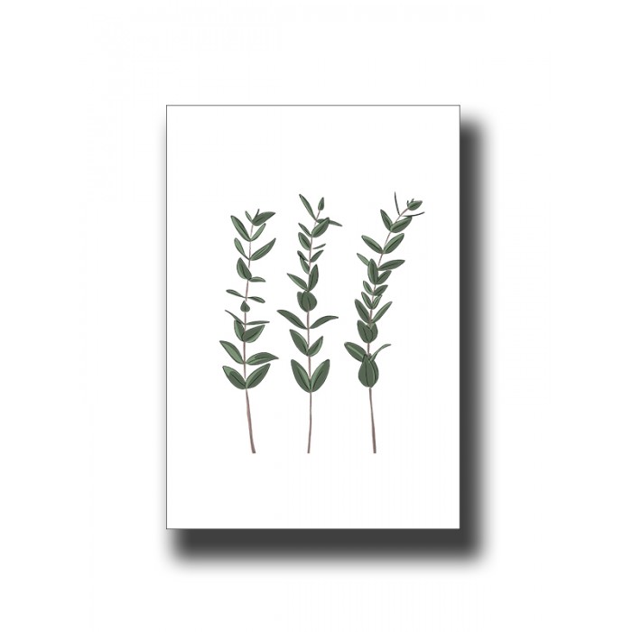 Botanical Leaves 3 Print