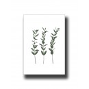 Botanical Leaves 3 Print