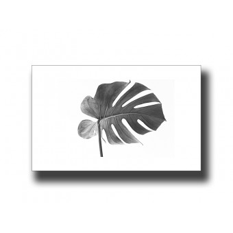 Botanical Monstera 1 Print