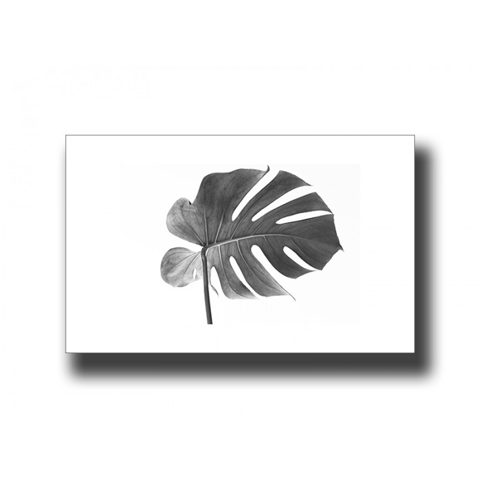 Botanical Monstera 1 Print