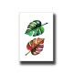 Botanical Monstera 2 Print