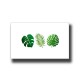 Botanical Monstera 3 Print