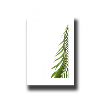 Botanical Palm 1 Print