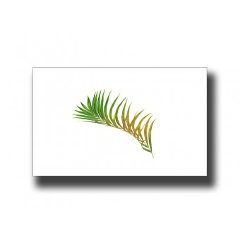 Botanical Palm 3 Print