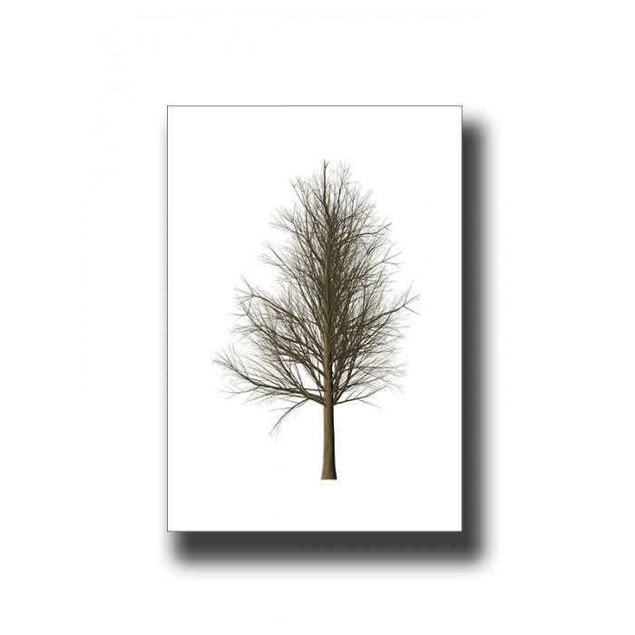 Botanical Tree 1 Print