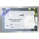 Eustoma1 Wedding Invitation