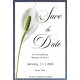 Calla1 Save the Date Card