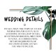 Monstera1 Details Card