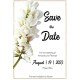 Acacia1 Save the Date Card