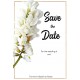 Acacia1 Save the Date Card