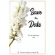 Acacia1 Save the Date Card