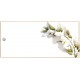 Acacia1 Place Card
