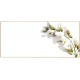 Acacia1 Place Card