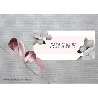 Apple Blossom1 Place Card