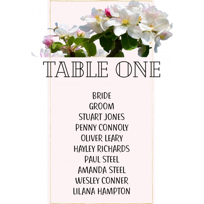 Apple Blossom1 Table Plan
