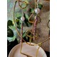 Colour Pop Long Cylindrical Earrings