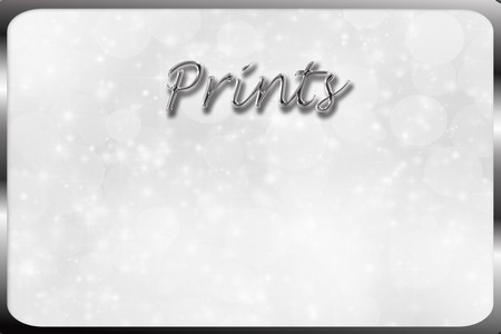 Prints