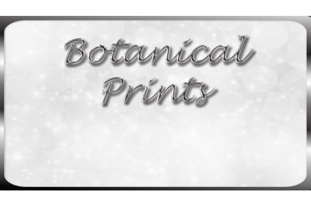 Botanical Prints